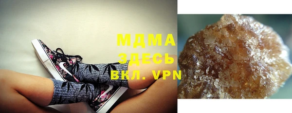 шишки Пересвет