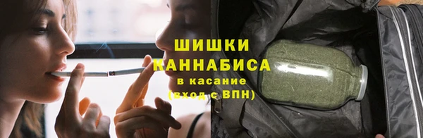 тгк Пестово