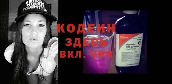 шишки Пересвет