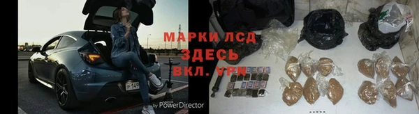 шишки Пересвет