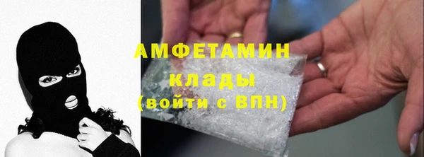 шишки Пересвет