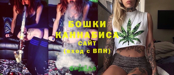 гидра Переславль-Залесский