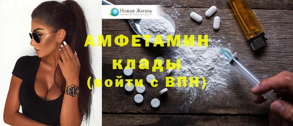 шишки Пересвет
