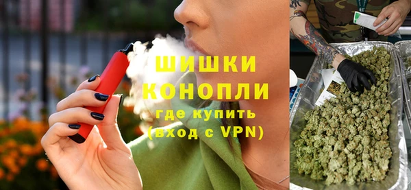 шишки Пересвет