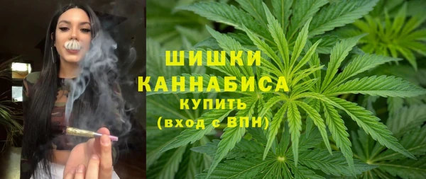 тгк Пестово