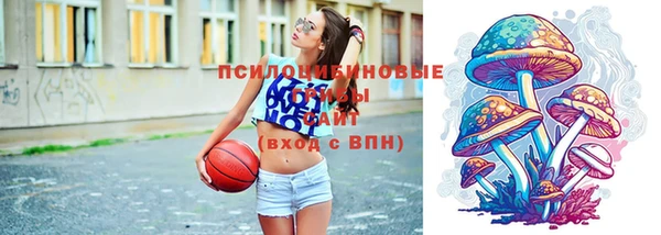 тгк Пестово
