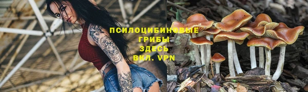 гидра Переславль-Залесский