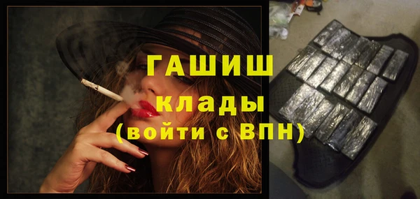 гидра Переславль-Залесский