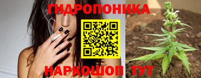 индика Абакан