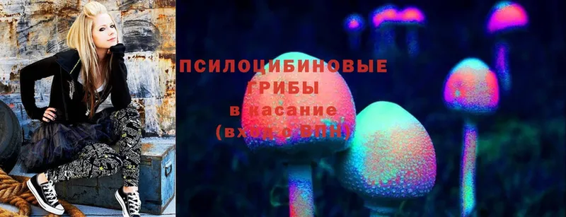 дарнет шоп  это наркотические препараты  Псилоцибиновые грибы мицелий  Апатиты 