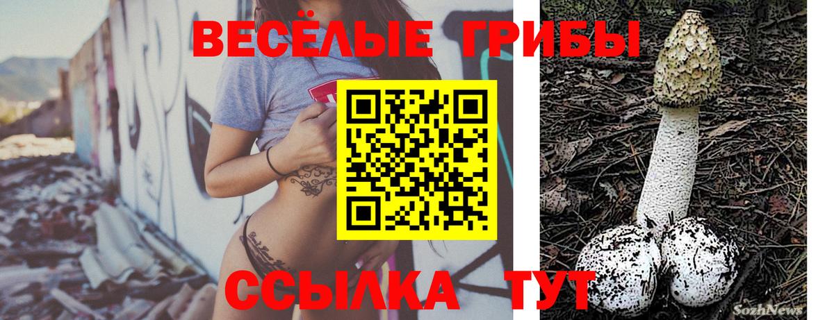 Апатиты  Псилоцибиновые грибы Psilocybe  Вход с VPN 